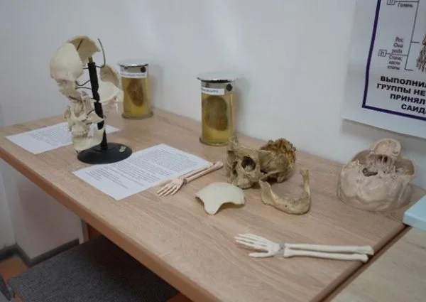 Explore the intricacies of the human body @Anatomy Lab